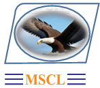 logo.png